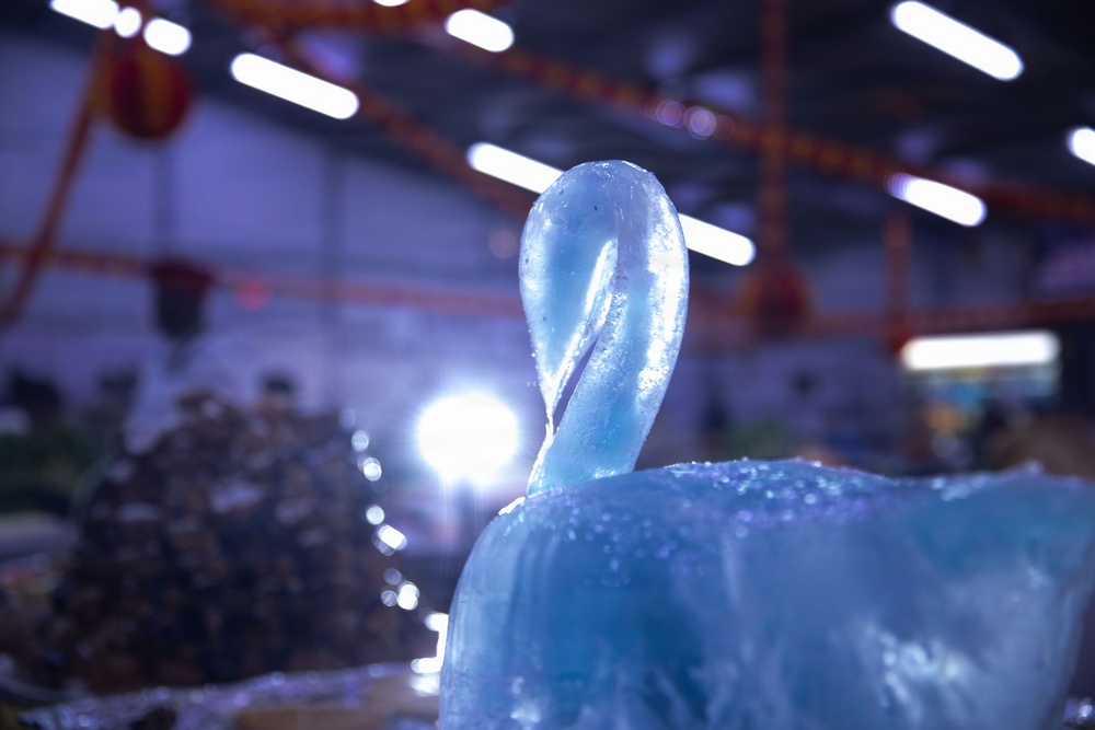 Coalition forces Soldiers Celebrate Thanksgiving at LSA Danger in Erbil, Iraq