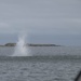 FREEZING WINDS 25 - Explosive Ordnance Disposal Underwater Demolition and mine towing Operations