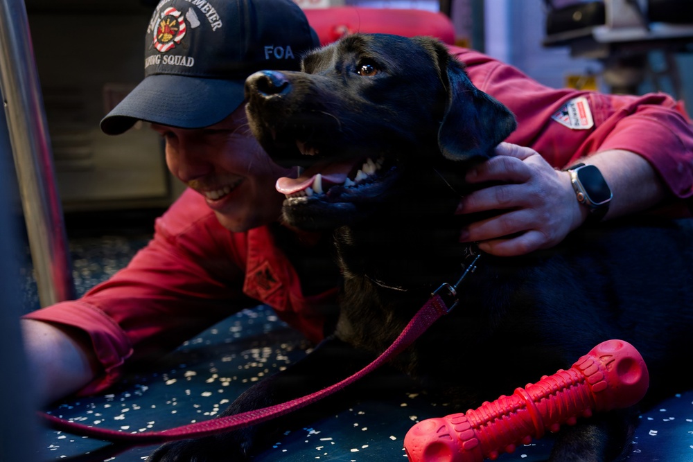Expeditionary Facility Dog Visits Wayne E. Meyer Sailors