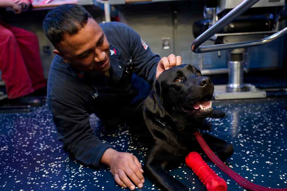 Expeditionary Facility Dog Visits Wayne E. Meyer Sailors