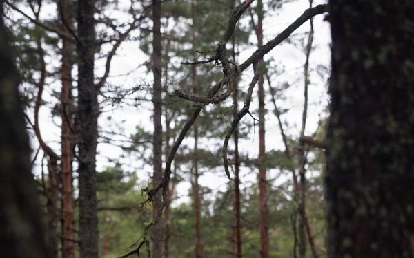 U.S. Marines set-up for bilateral exercise in Finalnd