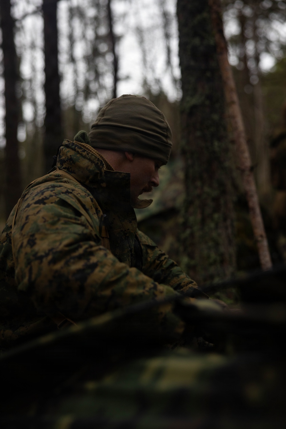 U.S. Marines set-up for bilateral exercise in Finalnd