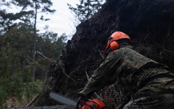 U.S. Marines execute log operations during bilateral exercise