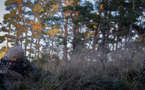 U.S. Marines establish a secured area during a bilateral exercise while deployed in the Baltic sea