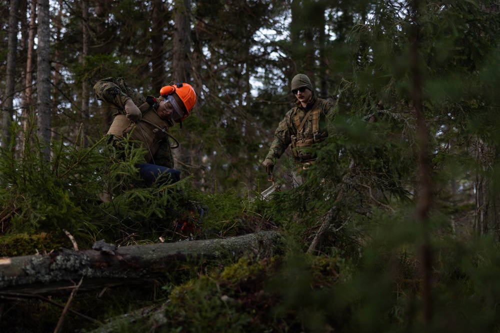 U.S. Marines build road barriers while deployed in the Baltic sea area