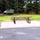 New concrete pads added to Fort McCoy’s Commemorative Area; improves guest experience