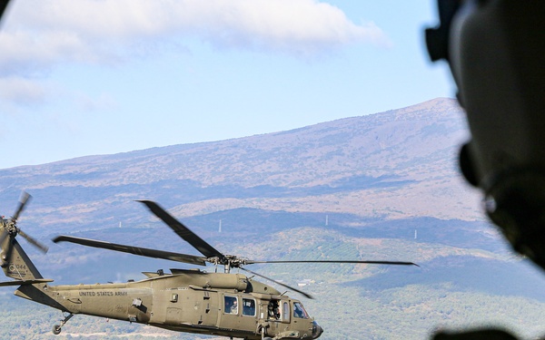 2-2 AHB Conducts Fast-Rope Insertion Training