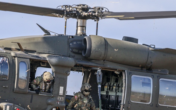 2-2 AHB Conducts Fast-Rope Insertion Training