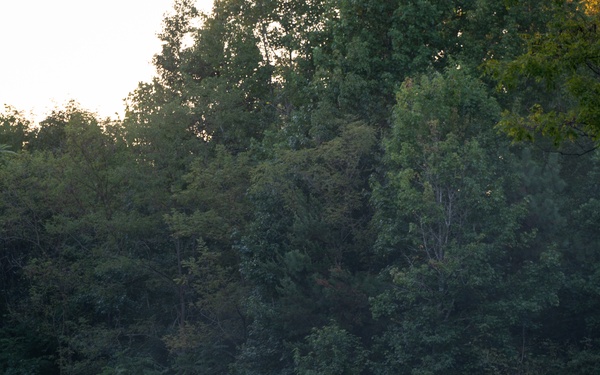 Air Guard Defenders Partner With U.S. Army Green Berets for Sage Eagle 25-1