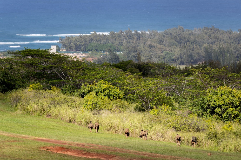 25th CAB and DIVARTY conduct M119 Howitzer Dry Fire