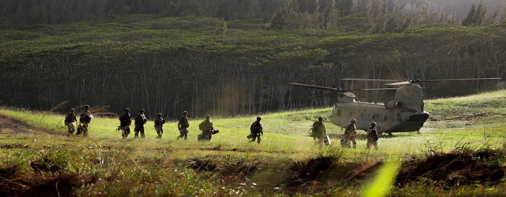 25th CAB and DIVARTY conduct M119 Howitzer Dry Fire