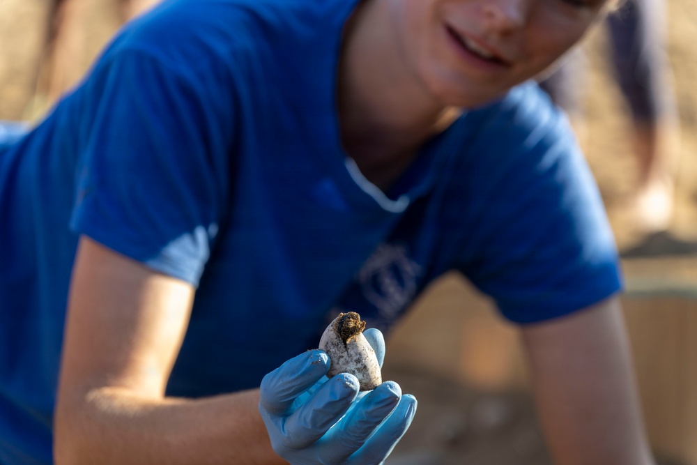 NSA Souda Bay Sea Turtle Community Relations Event