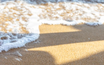 NSA Souda Bay Sea Turtle Community Relations Event