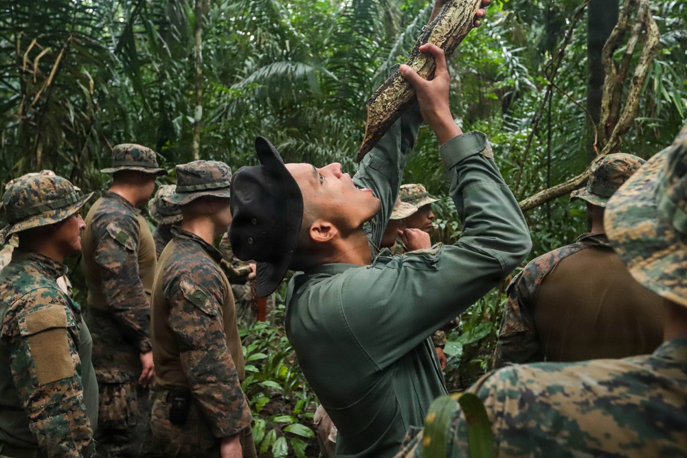 Combined Jungle Operations Training Course 26-2 Day 3