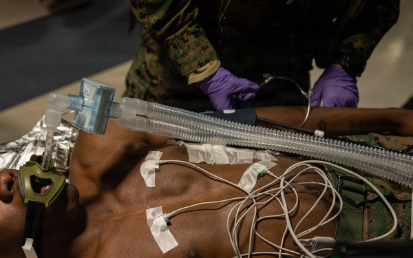 U.S. Sailors use battlefield assisted trauma documentation kit for simulated casualty during European deployment
