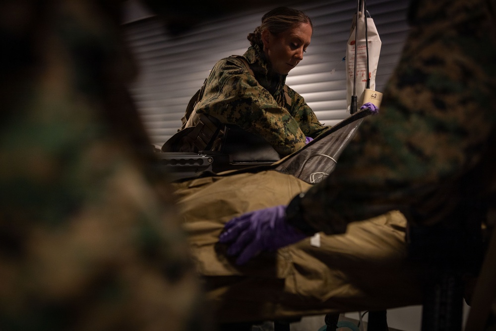 U.S. Sailors use battlefield assisted trauma documentation kit for simulated casualty during European deployment