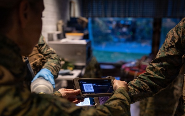 U.S. Sailors use battlefield assisted trauma documentation kit for simulated casualty during European deployment