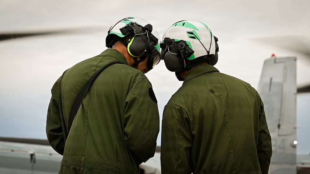 Ospreys over Buckley!