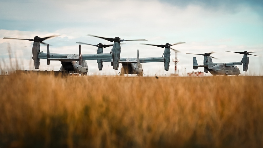 Ospreys over Buckley!