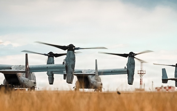 Ospreys over Buckley!