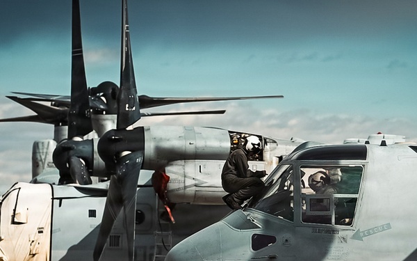 Ospreys over Buckley!