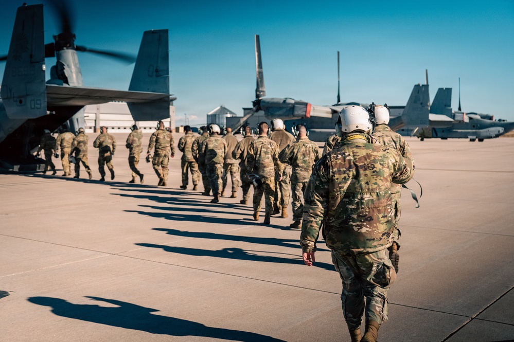 Ospreys over Buckley!