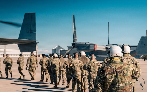 Ospreys over Buckley!