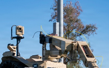 Mosaic Lightning 26-1