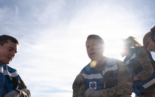 Mosaic Lightning 26-1 Triage