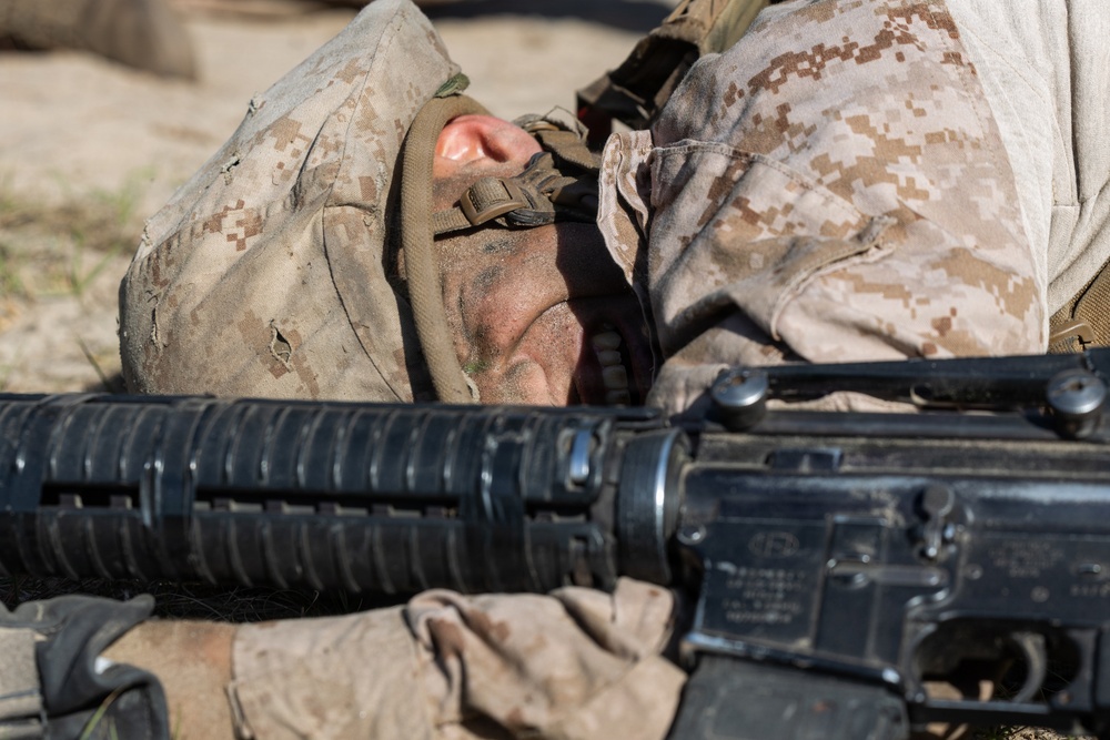 Delta Company Crucible