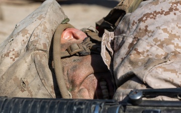 Delta Company Crucible