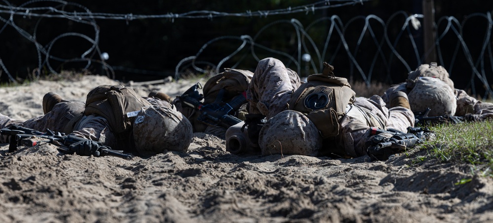 Delta Company Crucible