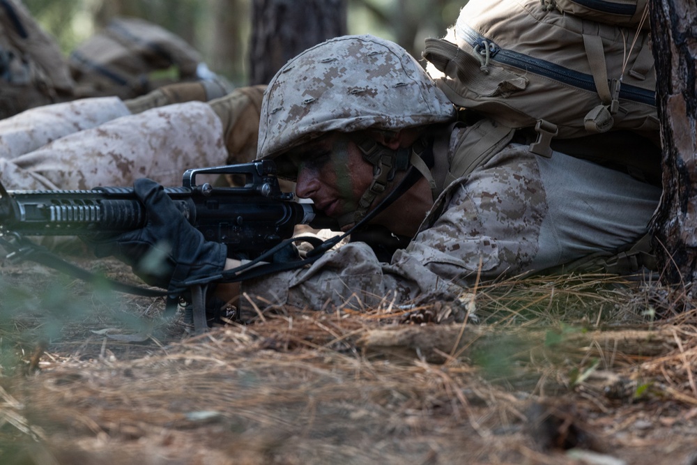 Delta Company Crucible