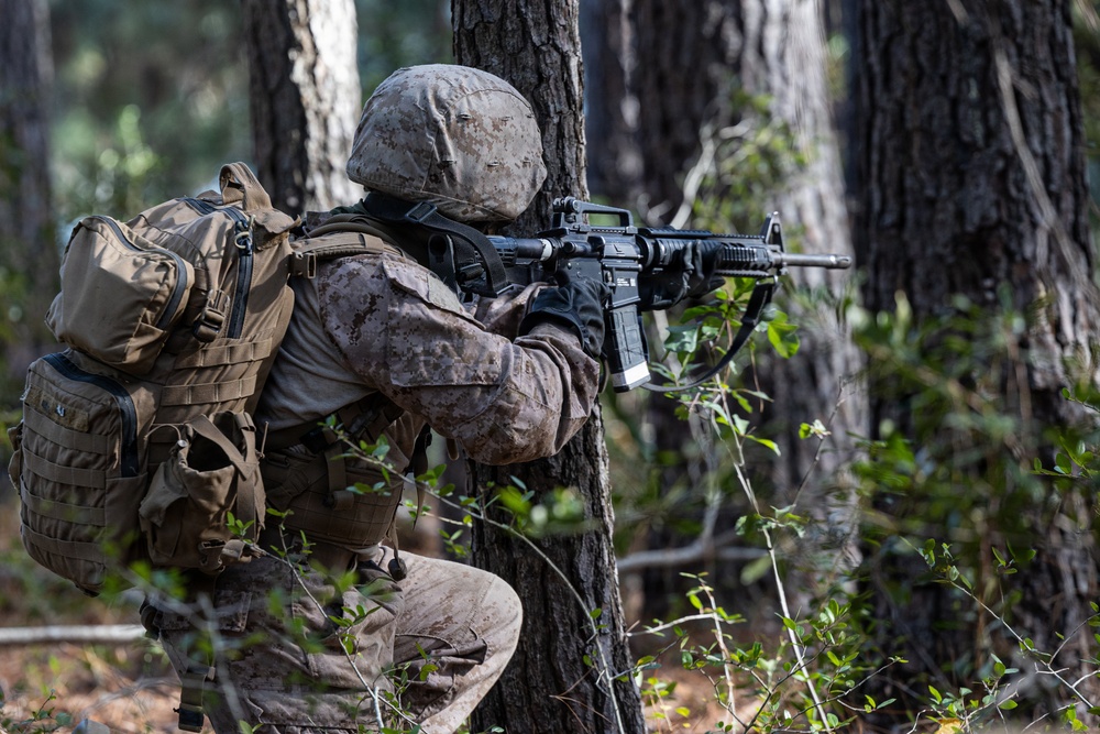 Delta Company Crucible