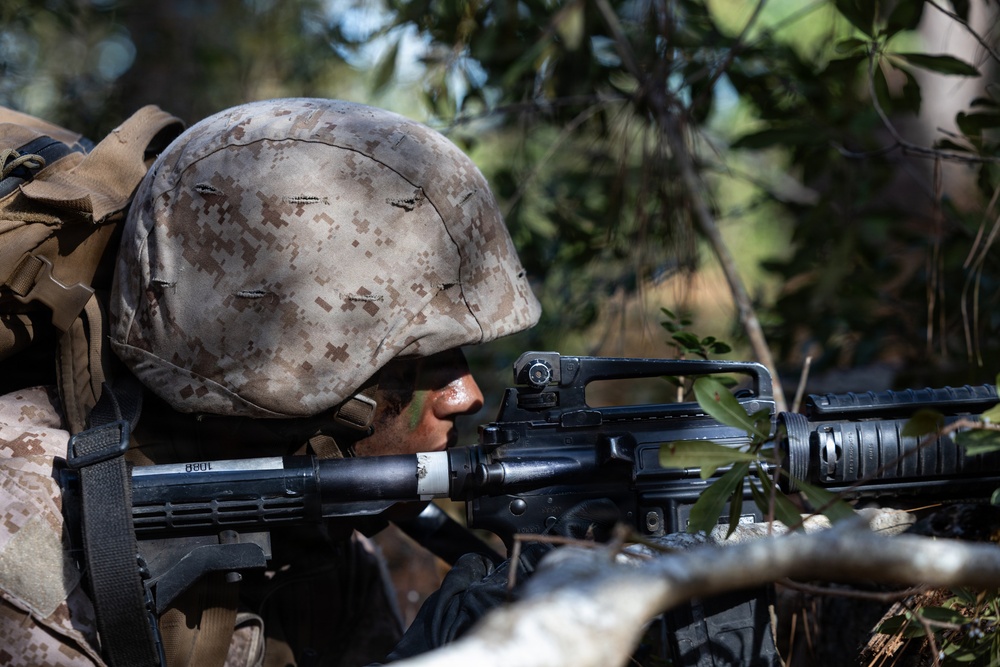 Delta Company Crucible