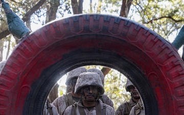 Delta Company Crucible