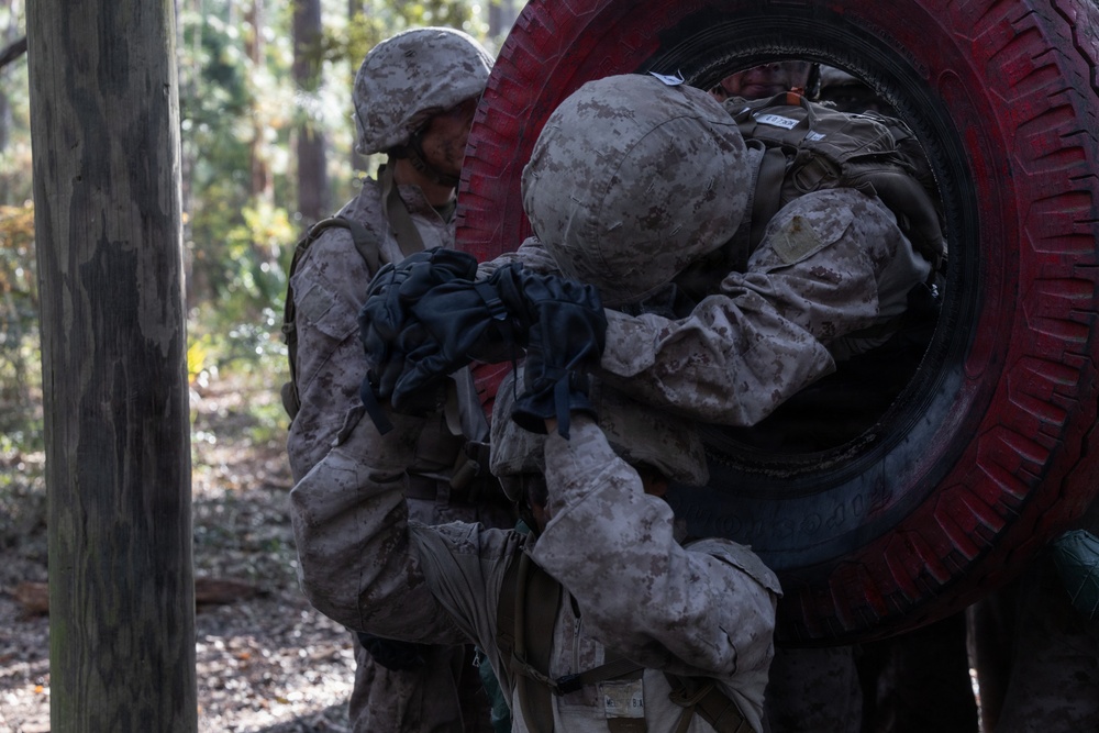 Delta Company Crucible