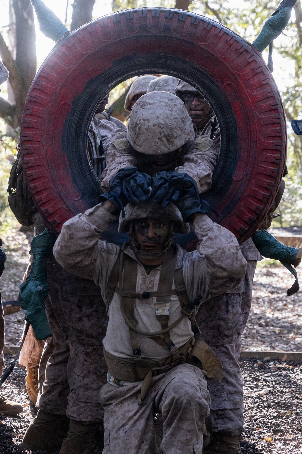 Delta Company Crucible