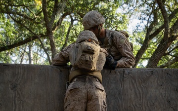 Delta Company Crucible