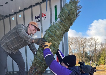 NY National Guard volunteers give lift to Trees for Troops