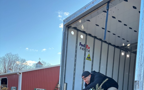 NY National Guard volunteers to give lift to Trees for Troops