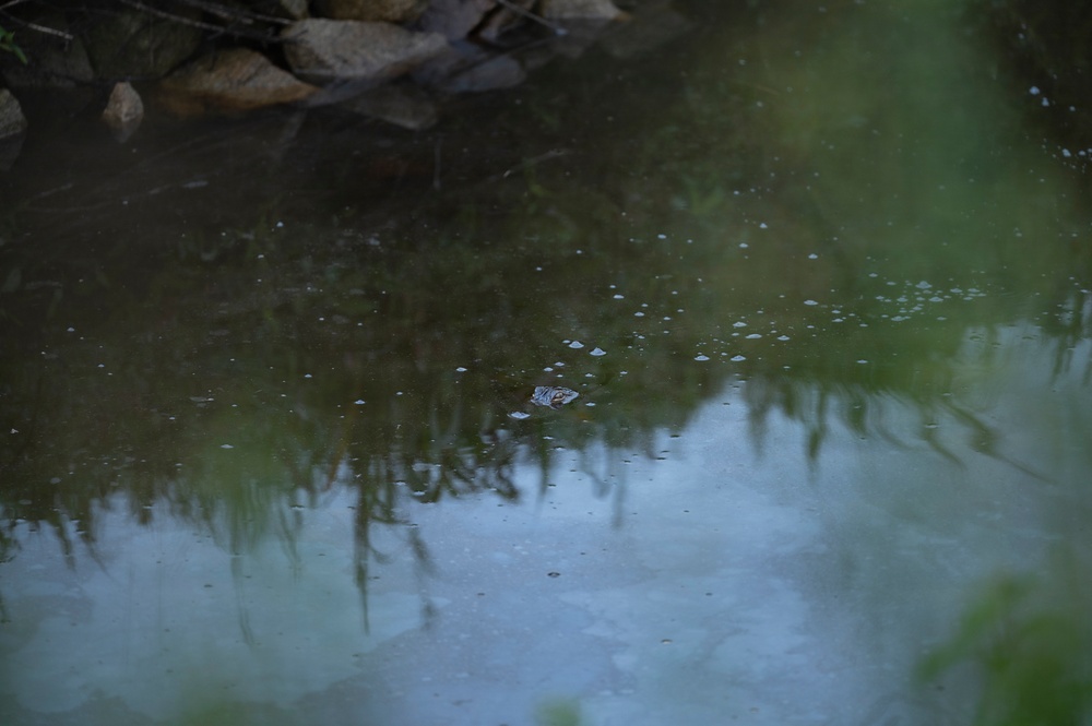 Keepers of the Runway