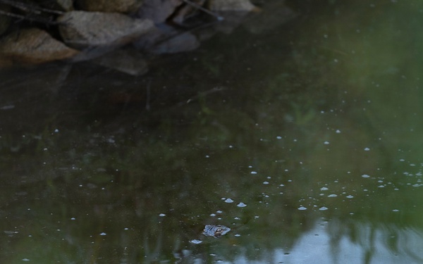 Keepers of the Runway