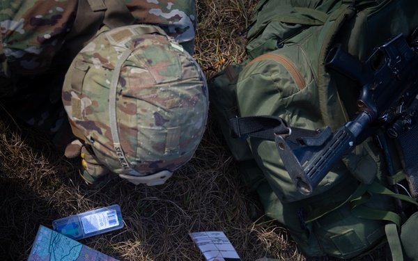 DIVARTY Best of the Best 2025