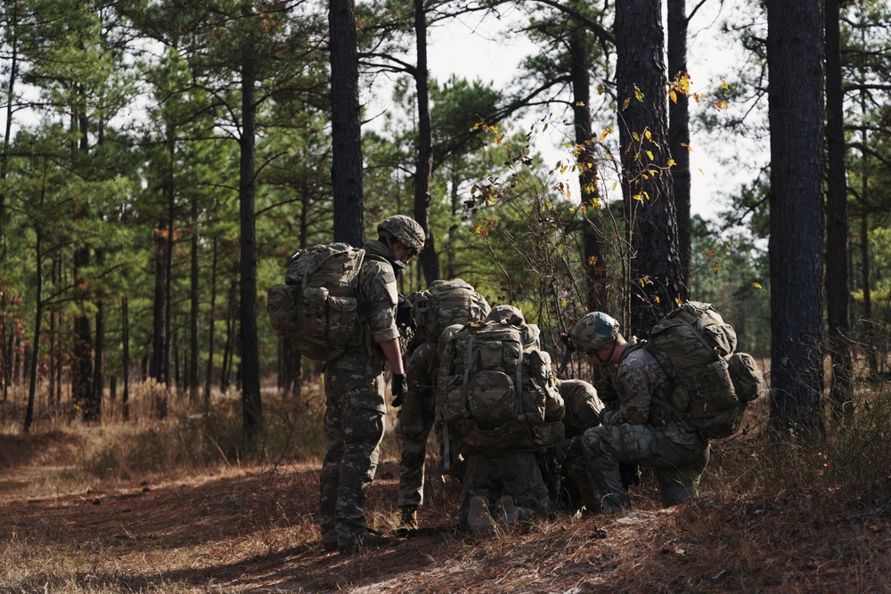 DIVARTY Best of the Best 2025