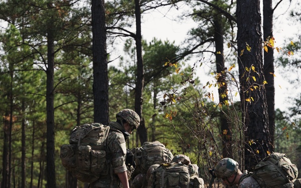 DIVARTY Best of the Best 2025