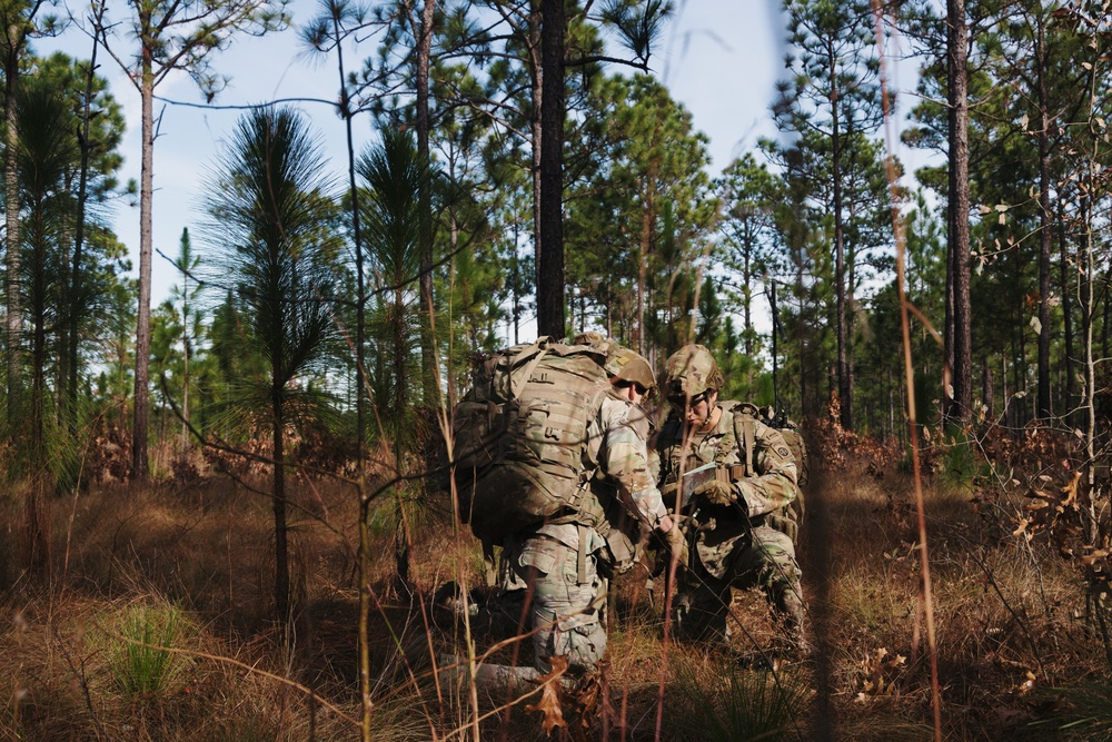 DIVARTY Best of the Best 2025