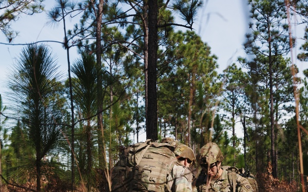 DIVARTY Best of the Best 2025