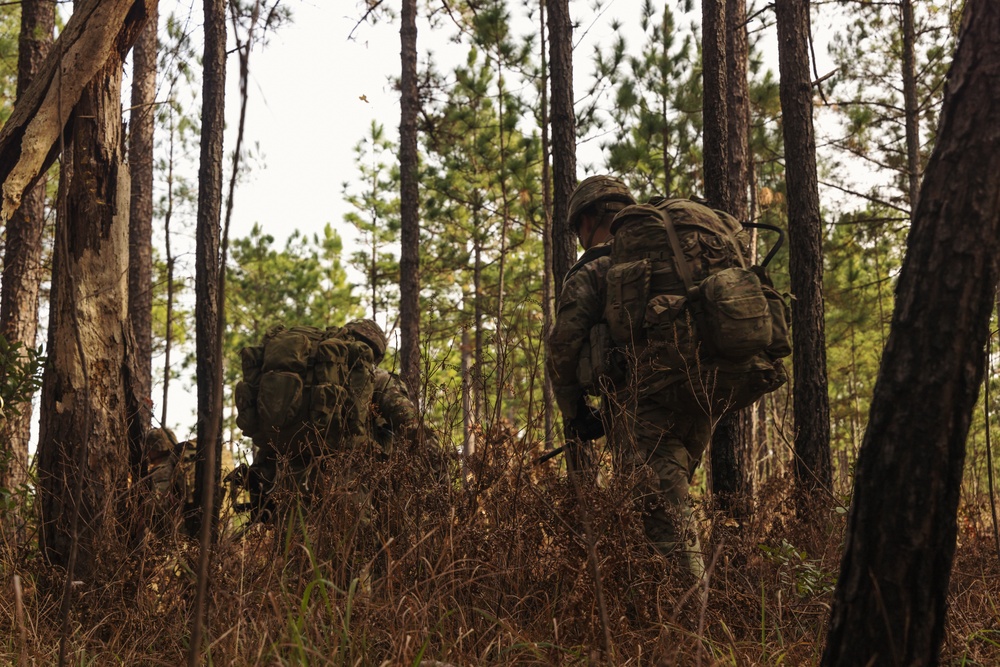 DIVARTY Best of the Best 2025