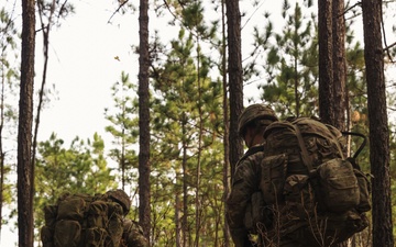 DIVARTY Best of the Best 2025